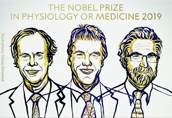فوز عالمين أميركيين وبريطاني بجائزة نوبل للطب لعام 2019